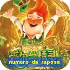 numero da raposa jogo do bicho